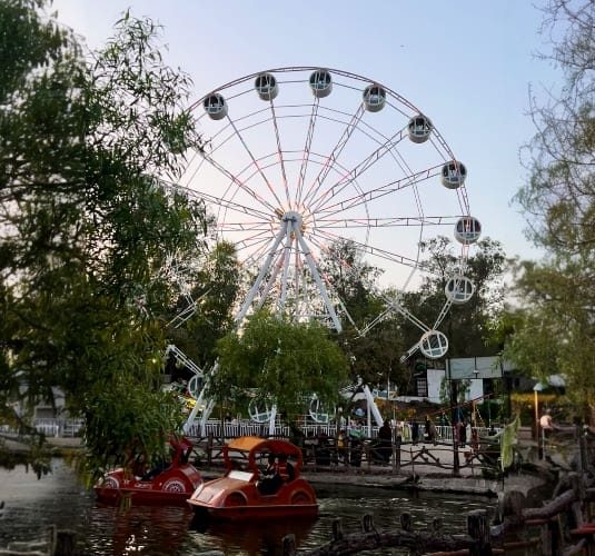 Feris Wheel 535x500